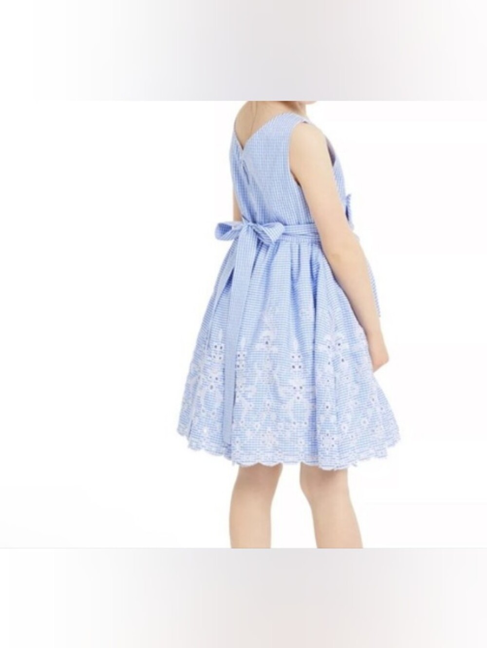 Rare Editions Light Blue Embroidered Gingham Dress